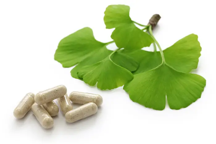 Ginkgo Biloba, one of the best vitiligo on lips treatment options