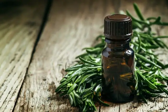 Small Bottle of Tea Tree Oil