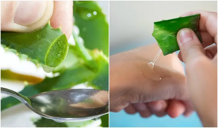 using aloe vera for the skin